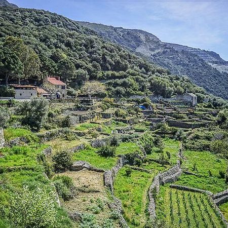 L'Auberge du Chat qui Pêche Canari Exterior foto