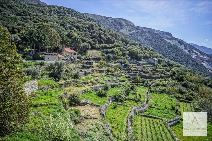 L'Auberge du Chat qui Pêche Canari Exterior foto